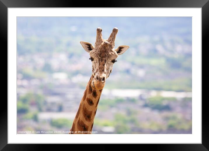 A close up of a giraffe Framed Mounted Print by Les McLuckie