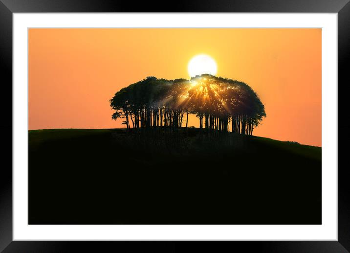Nearly There Trees Framed Mounted Print by Alison Chambers