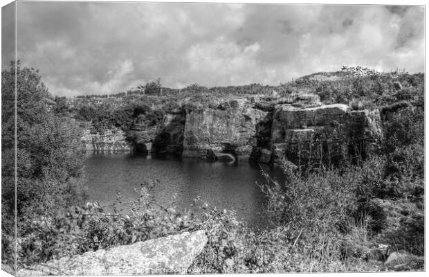 Carbilly Tor old quarry  Monochrome Canvas Print by Diana Mower