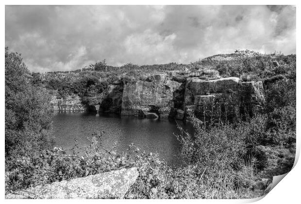 Carbilly Tor old quarry  Monochrome Print by Diana Mower