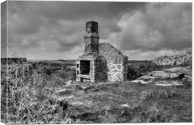 Bodmin Moor Carbilly old quarry works Mono Canvas Print by Diana Mower