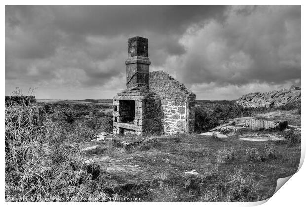 Bodmin Moor Carbilly old quarry works Mono Print by Diana Mower