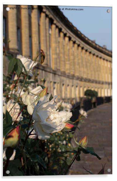 A close up of a beautiful rose at the Royal Crescent in Bath Acrylic by Duncan Savidge