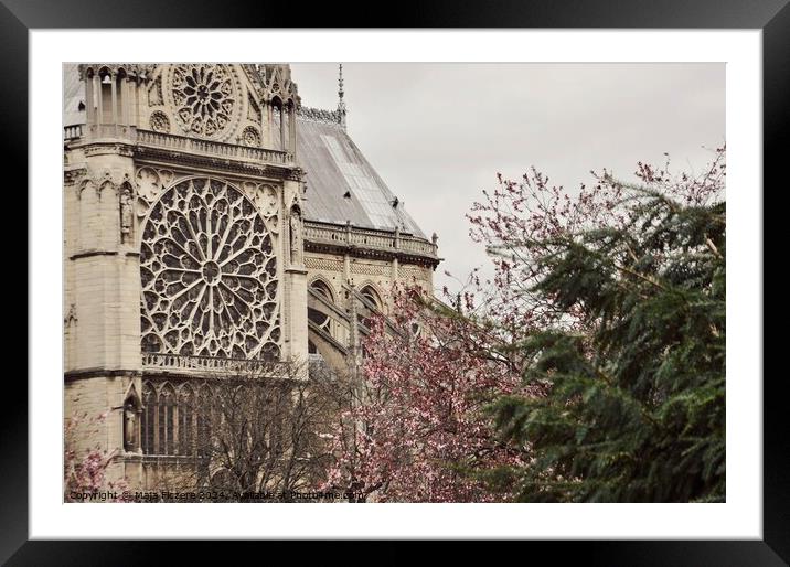 Notre Dame Framed Mounted Print by Maja Ficzere