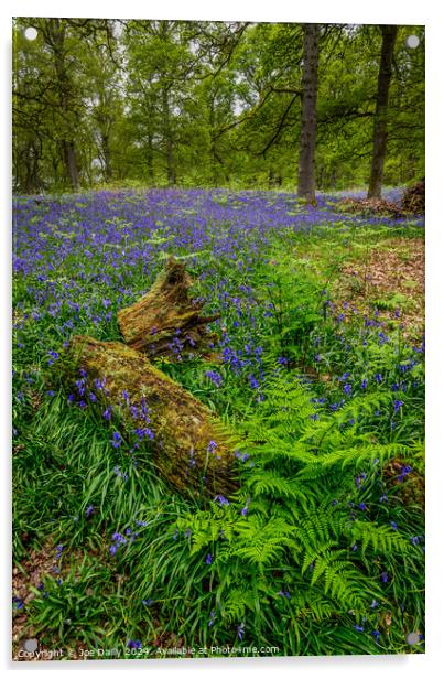  Kinclaven Bluebell Woods Perthshire Scotland Acrylic by Joe Dailly