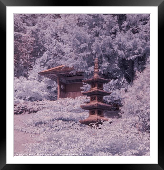 Japanese Gardens Framed Mounted Print by Fraser Hetherington