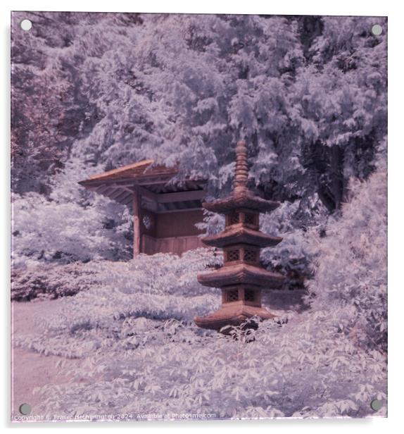 Japanese Gardens Acrylic by Fraser Hetherington
