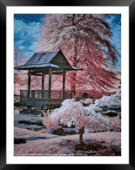 Japanese Gardens Framed Mounted Print by Fraser Hetherington