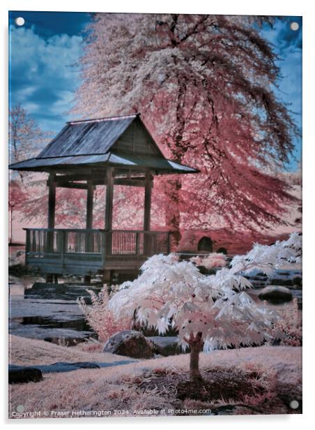 Japanese Gardens Acrylic by Fraser Hetherington