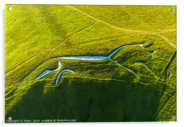 Aerial View of Chalk Figure of Neolithic Uffington White Horse, Uffington Hill Fort, Oxfordshire Acrylic by Steve 