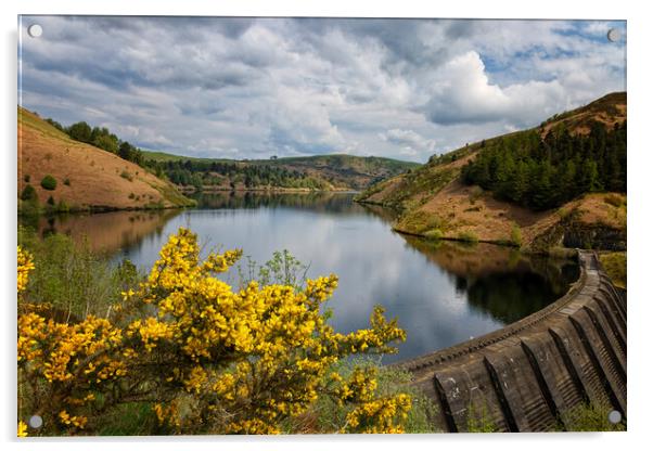 The Clywedog Reservoir near Llanidloes, Wales UK Acrylic by John Gilham