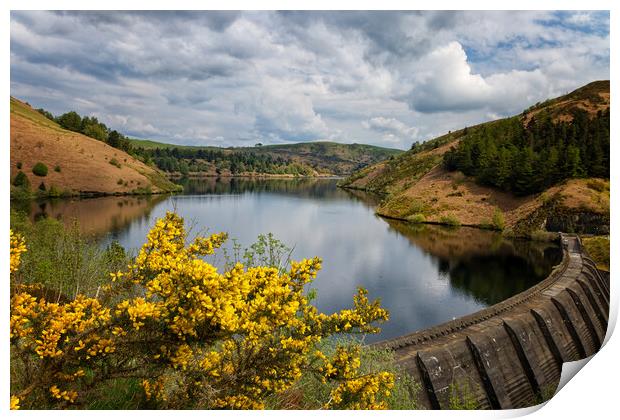 The Clywedog Reservoir near Llanidloes, Wales UK Print by John Gilham