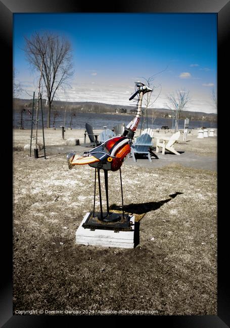 Metal Bird Framed Print by Dominic Gareau