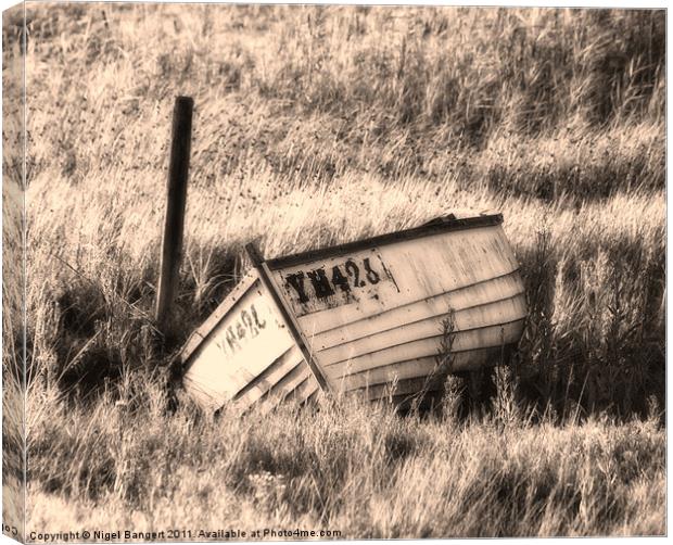 Sinking in the Grass Canvas Print by Nigel Bangert