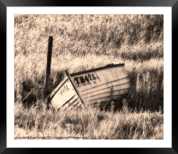 Sinking in the Grass Framed Mounted Print by Nigel Bangert