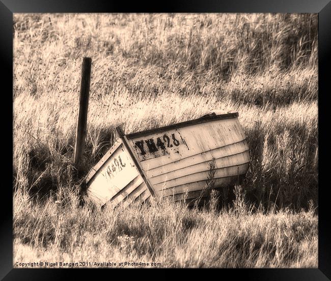 Sinking in the Grass Framed Print by Nigel Bangert