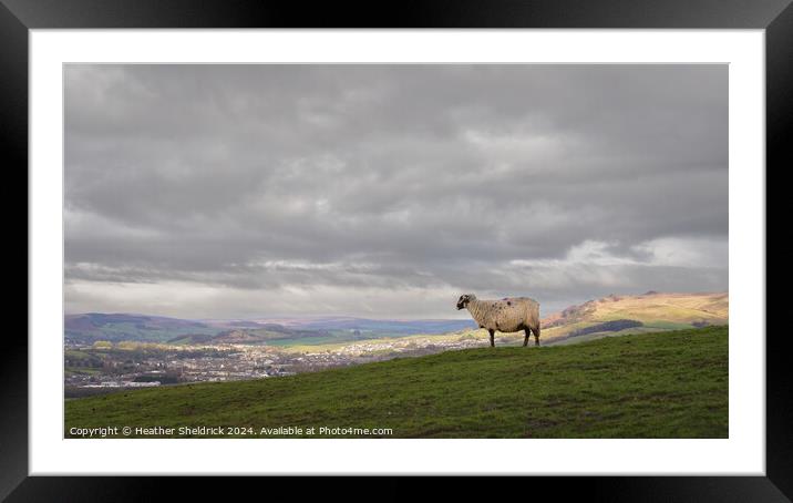 Sheep Looking Over Sheeptown (Skipton) Framed Mounted Print by Heather Sheldrick