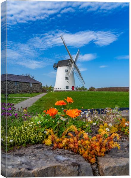 views around the Isle of Anglesey North Wales  Canvas Print by Gail Johnson