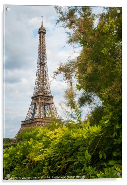Eiffel Tower viewed from the banks with frame of vegetation Acrylic by Laurent Renault