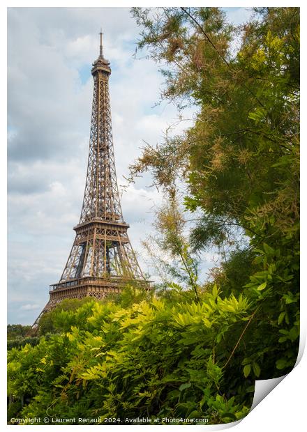 Eiffel Tower viewed from the banks with frame of vegetation Print by Laurent Renault