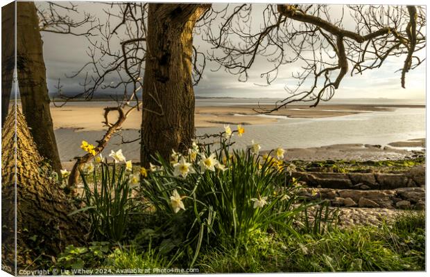 Jenny Brown's Point, Silverdale Canvas Print by Liz Withey