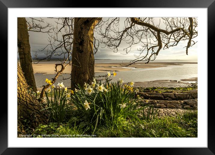 Jenny Brown's Point, Silverdale Framed Mounted Print by Liz Withey