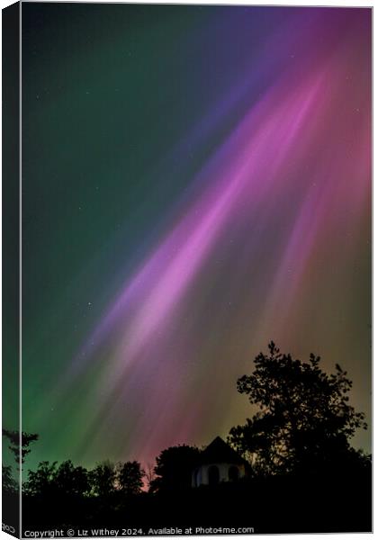 Northern Lights Canvas Print by Liz Withey