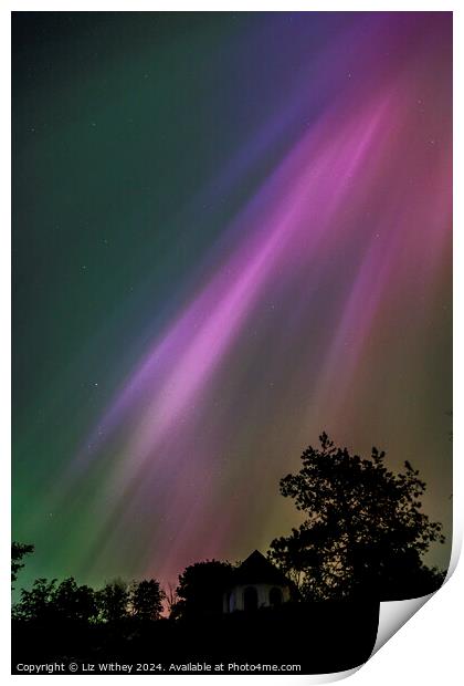 Northern Lights Print by Liz Withey