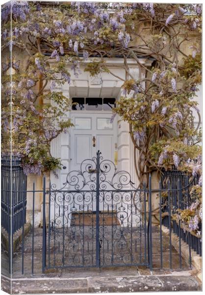 A front door in Bath Canvas Print by Duncan Savidge