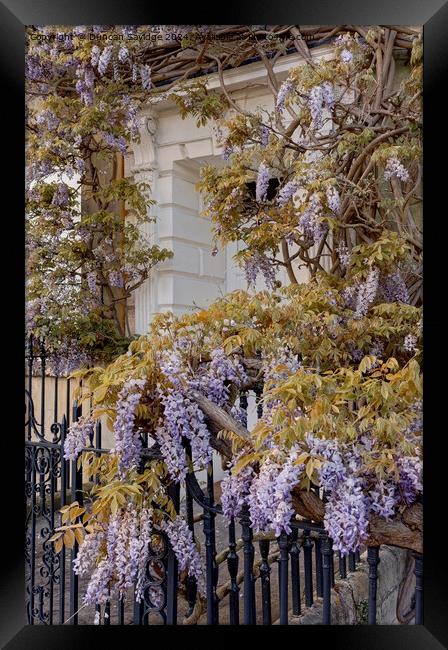 Abstract of Lansdown Crescent in Bath Framed Print by Duncan Savidge
