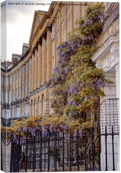 Wisteria in HDR at Lansdown Crescent, Bath Canvas Print by Duncan Savidge