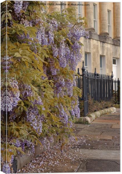 Low abstract of the Wisteria in Bath Canvas Print by Duncan Savidge