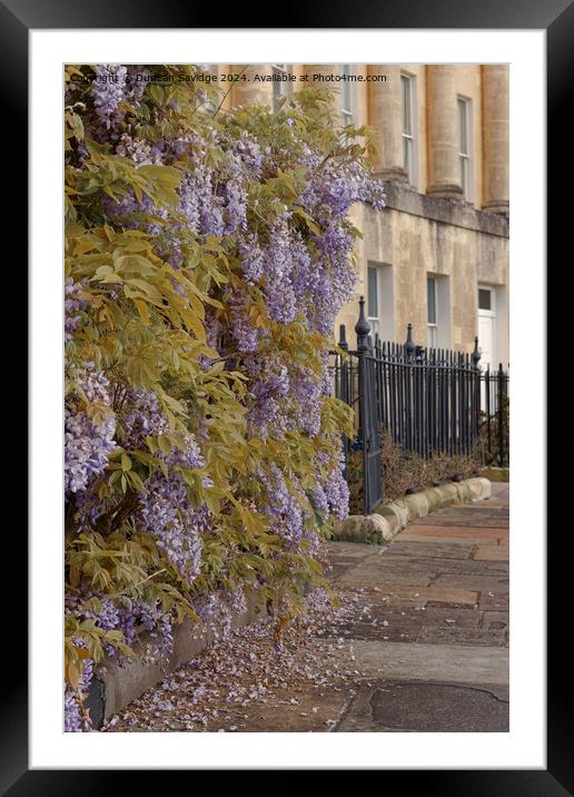 Low abstract of the Wisteria in Bath Framed Mounted Print by Duncan Savidge