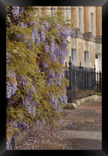Low abstract of the Wisteria in Bath Framed Print by Duncan Savidge