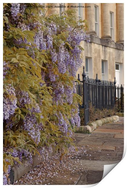 Low abstract of the Wisteria in Bath Print by Duncan Savidge