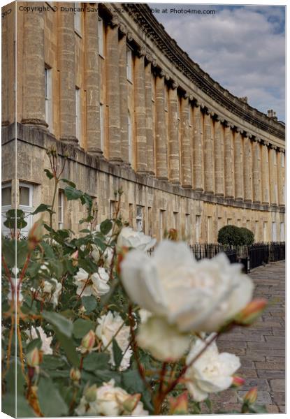 A spring Rose at the Royal Crescent  Canvas Print by Duncan Savidge