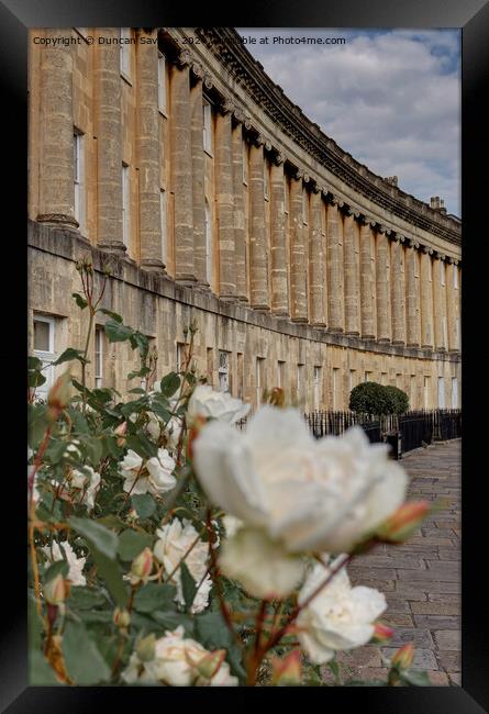 A spring Rose at the Royal Crescent  Framed Print by Duncan Savidge