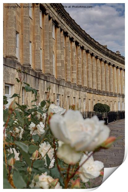 A spring Rose at the Royal Crescent  Print by Duncan Savidge