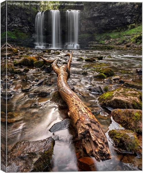 Sgwd yr Eira Waterfall Canvas Print by Neil Holman