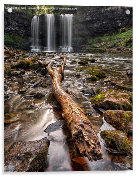 Sgwd yr Eira Waterfall Acrylic by Neil Holman