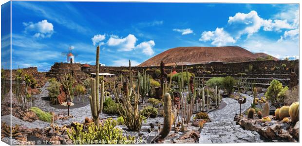 Panoramic pictures of the cactus garden Jardin de cactus of Lanzarote Canvas Print by Thomas Klee