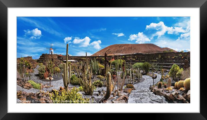 Panoramic pictures of the cactus garden Jardin de cactus of Lanzarote Framed Mounted Print by Thomas Klee