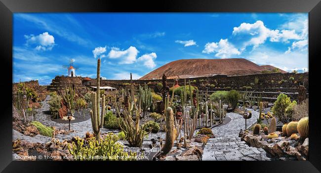 Panoramic pictures of the cactus garden Jardin de cactus of Lanzarote Framed Print by Thomas Klee