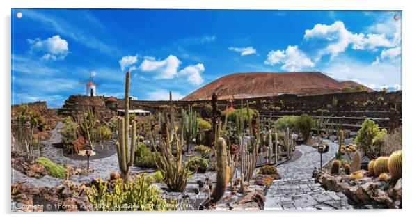 Panoramic pictures of the cactus garden Jardin de cactus of Lanzarote Acrylic by Thomas Klee