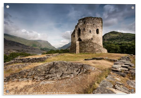 Dolbardarn castle Acrylic by Ironbridge Images