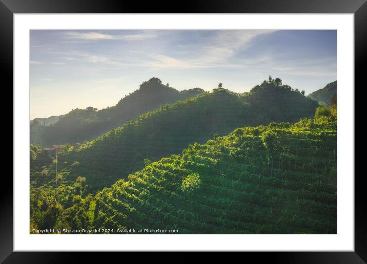 Vineyards of Prosecco hills at sunset. Italy Framed Mounted Print by Stefano Orazzini