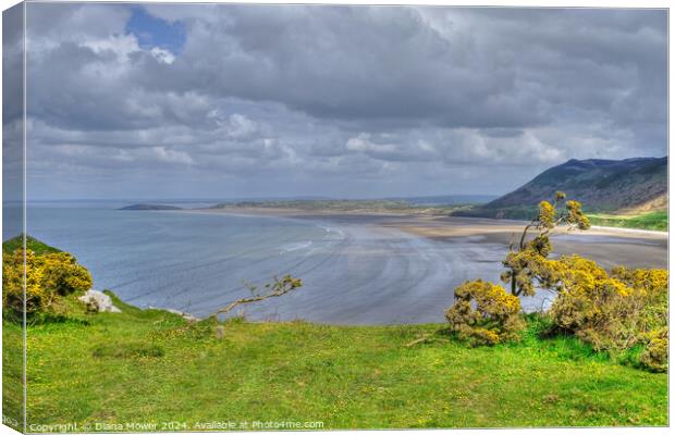 Rhossili Bay Gower Wales Canvas Print by Diana Mower