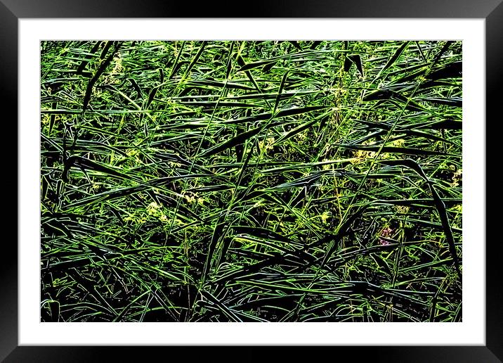Grasses, neon paint effect Framed Mounted Print by Paul Boizot