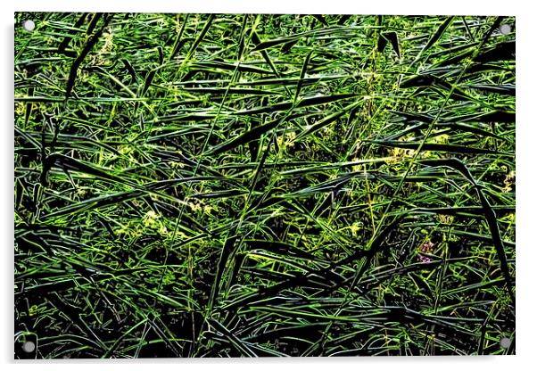 Grasses, neon paint effect Acrylic by Paul Boizot