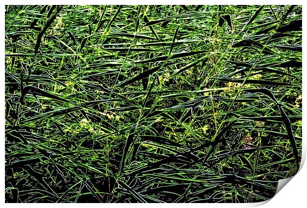 Grasses, neon paint effect Print by Paul Boizot